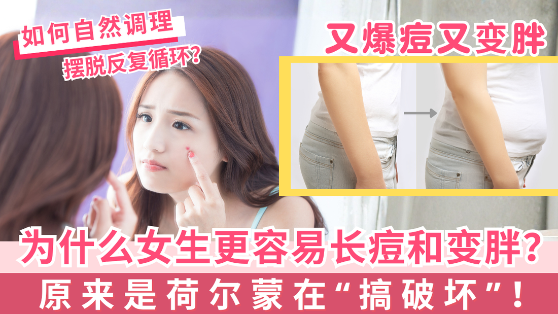 为什么女生更容易长痘和变胖? 原来是荷尔蒙在“搞破坏”!