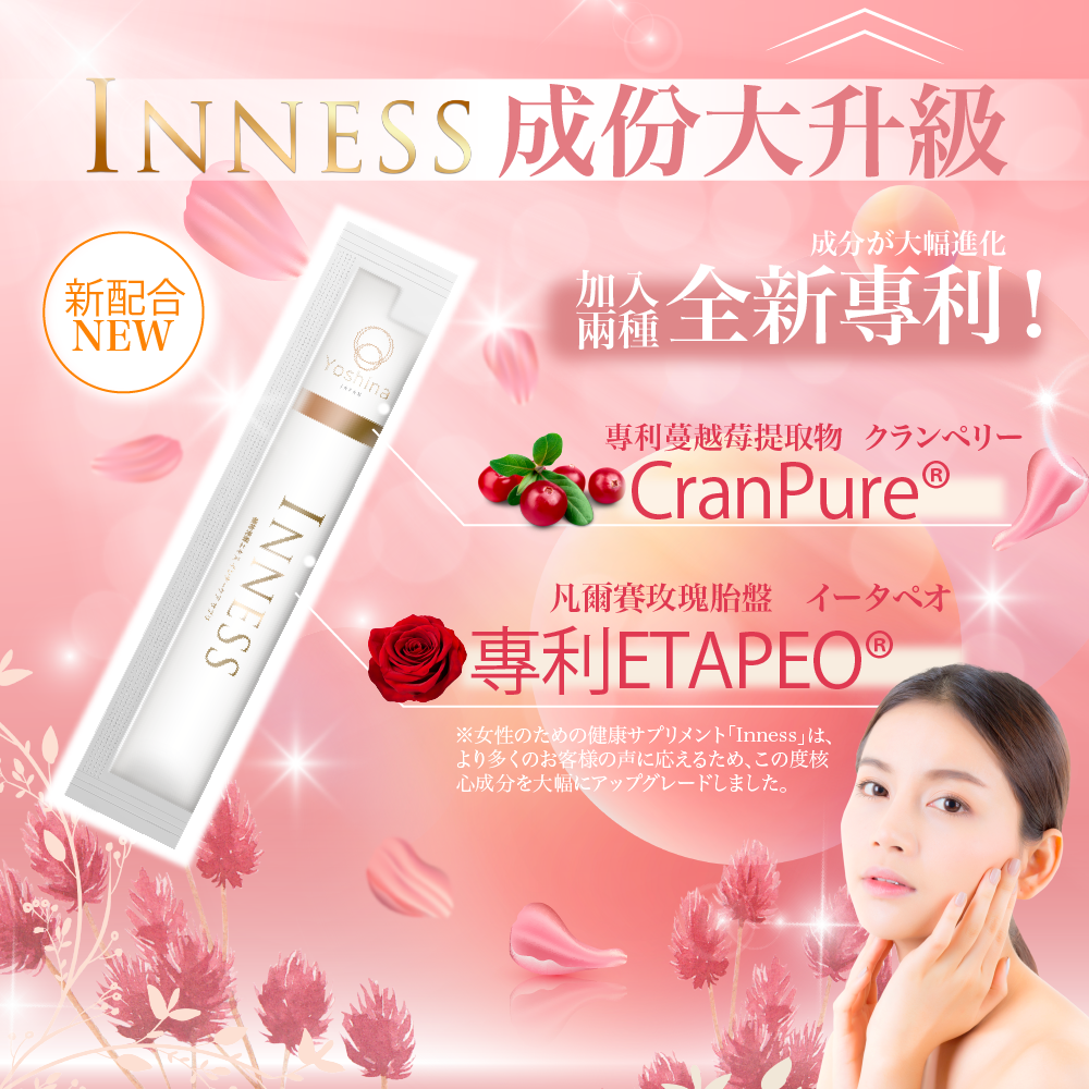 INNESS Mitsuba Global INNESS Mitsuba Global